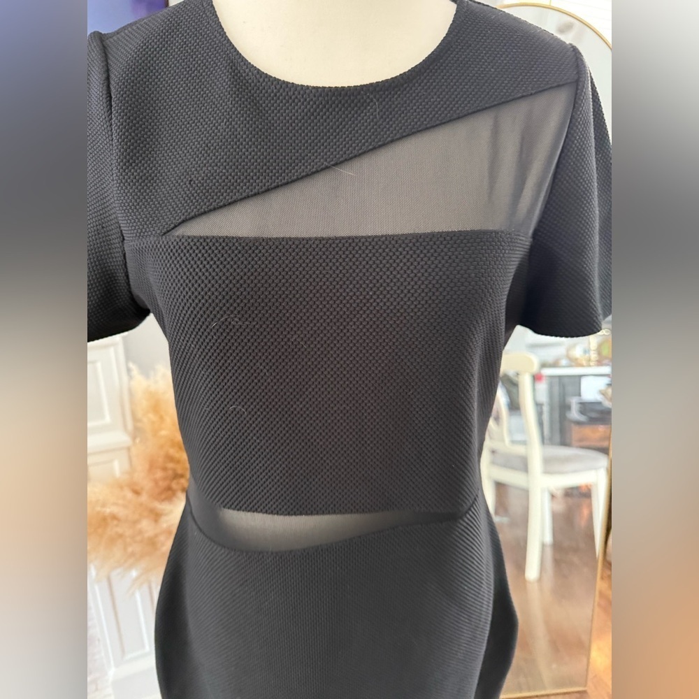 Express Black Mini Dress with Mesh Accents - Picture 6 of 8